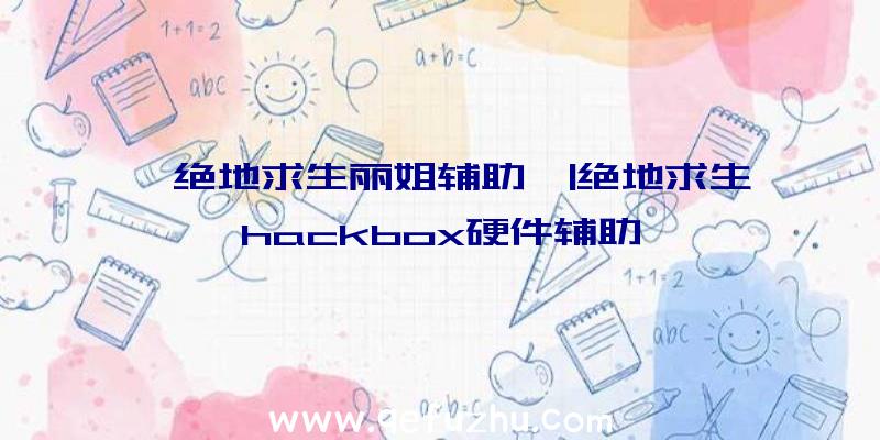 「绝地求生丽姐辅助」|绝地求生hackbox硬件辅助